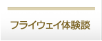 フライウェイ体験談